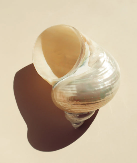 Le Beach Perfume Oil